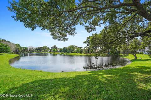 1563 Dandelion Drive, Melbourne FL - photo 8 of 38
