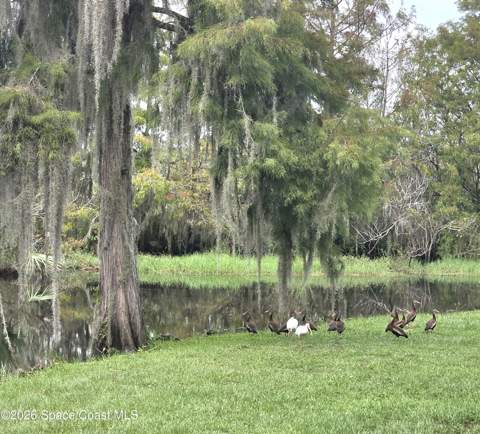 2619 Quail Trail, Titusville FL - photo 17 of 26