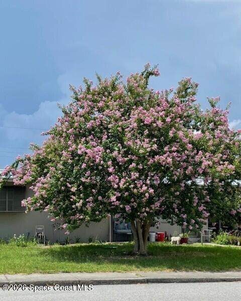 2243 Fatzler Road, Melbourne FL - photo 18 of 19