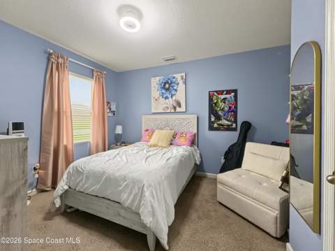 4891 Morganite Place, Grant FL - photo 13 of 29