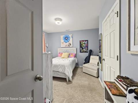 4891 Morganite Place, Grant FL - photo 14 of 29