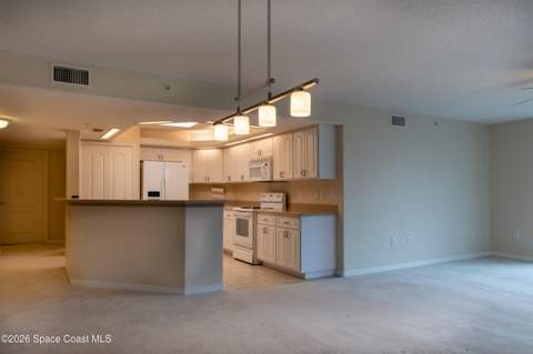 820 Del Rio Way #202, Merritt Island FL - photo 10 of 54