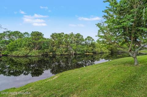 259 Pebble Hill Way, Rockledge FL - photo 6 of 40
