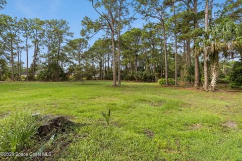 1502 Willard Road, Palm Bay FL - photo 18 of 27
