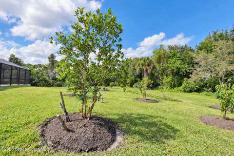 3120 Corey Road, Malabar FL - photo 21 of 27