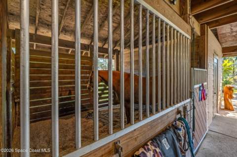 4630 James Road, Cocoa FL - photo 17 of 51