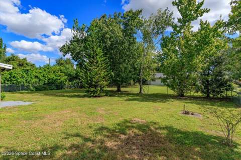 157 Irvine Avenue, Palm Bay FL - photo 18 of 19