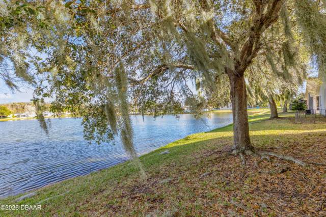 Coral Trace