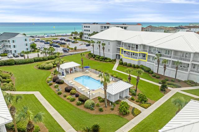 Pavilion Palms
