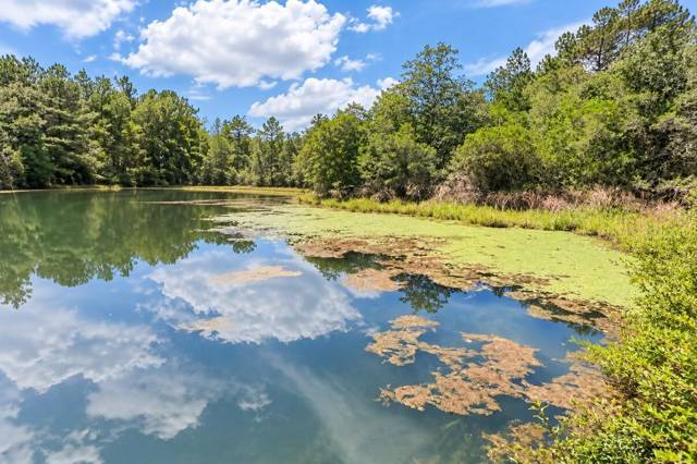 4444 Sundance Way, home for sale in Holt