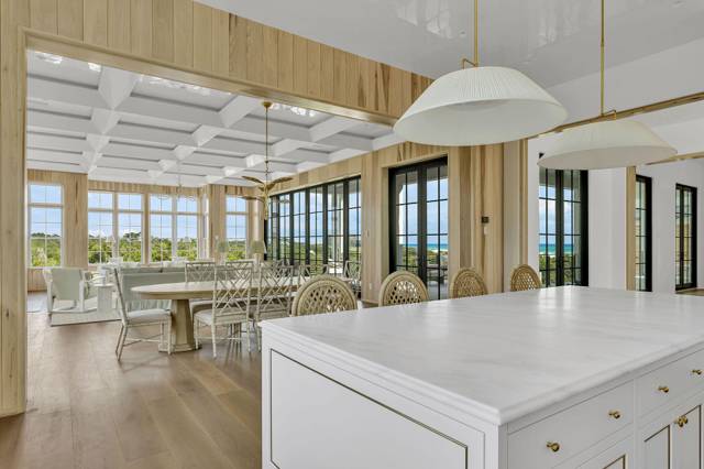 219 Walton Magnolia Lane, home for sale in Inlet Beach