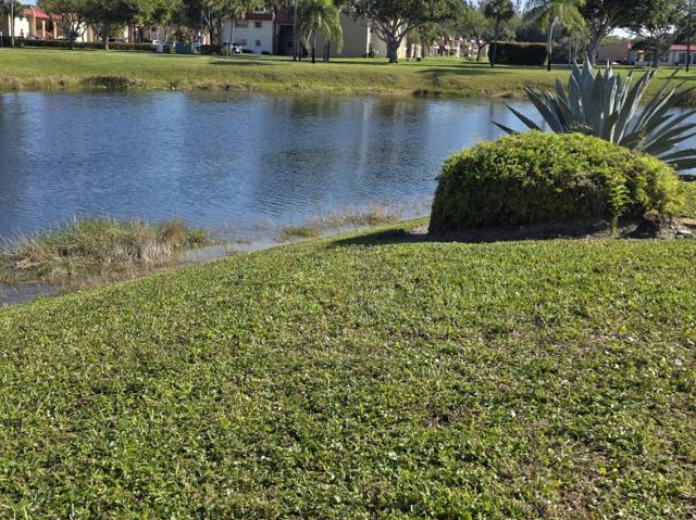 Golden Lakes Village