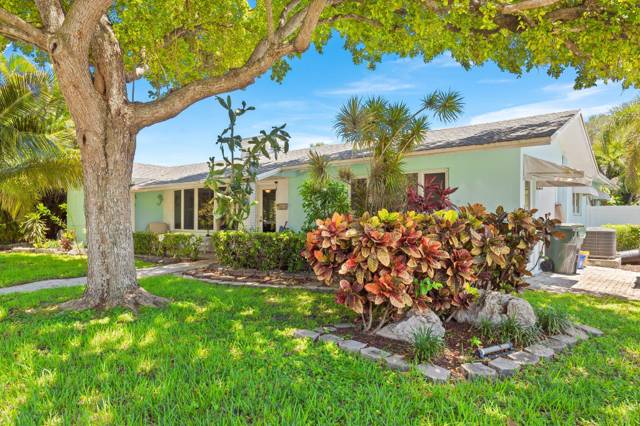 Palmetto Park Terrace