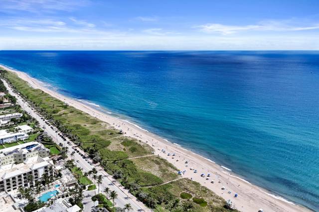 Atlantic Grove