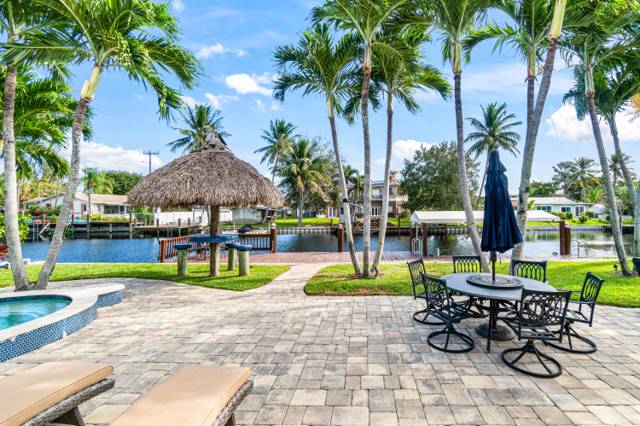 Tropic Palms