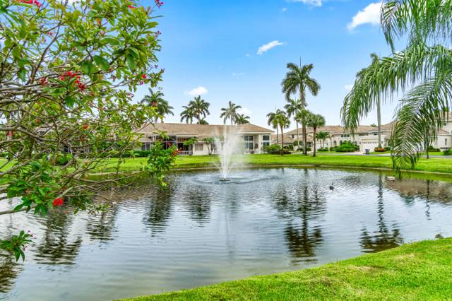 Windsor Parke / Polo Club
