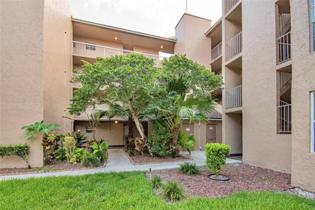 Tangerine Condominium