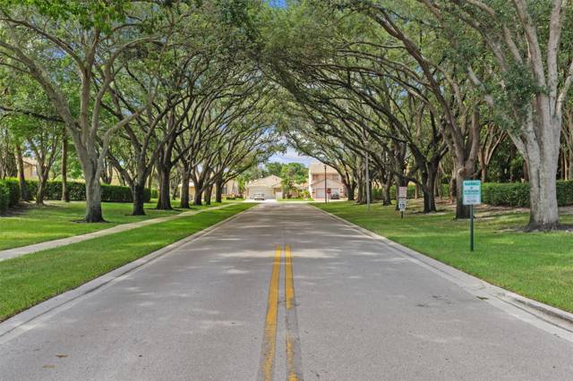Boca Springs