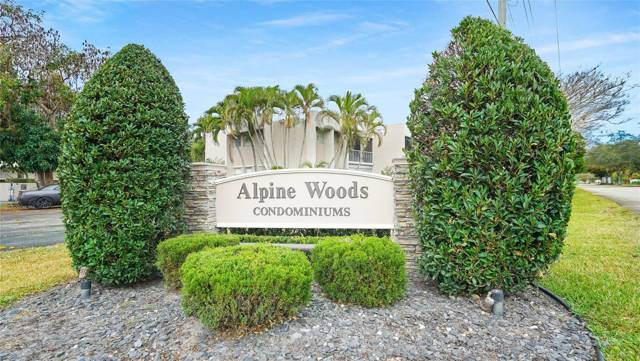 Alpine Woods