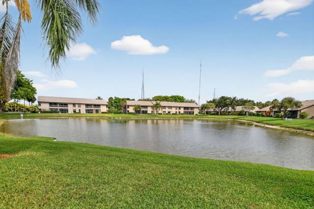 Boca Glades