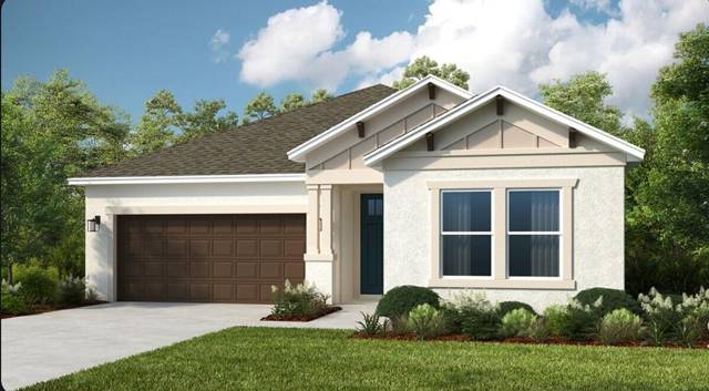 11545 SW Macelli Way home for sale in Central Park