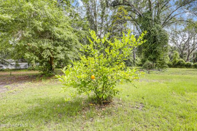 Evergreen Acres