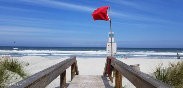 Sandpiper Ocean