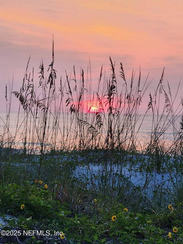 Summer Sands