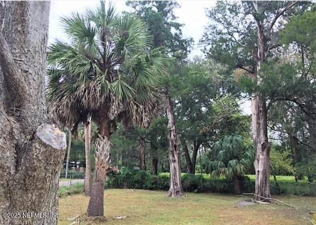 Lem Turner Park