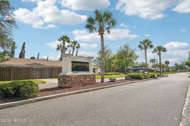 Dolphin Cove Ponte Vedra