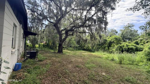 Forrest Brook