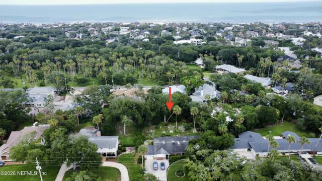 Selva Marina Jacksonville