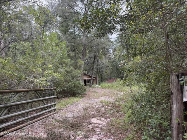 Satilla River Estates