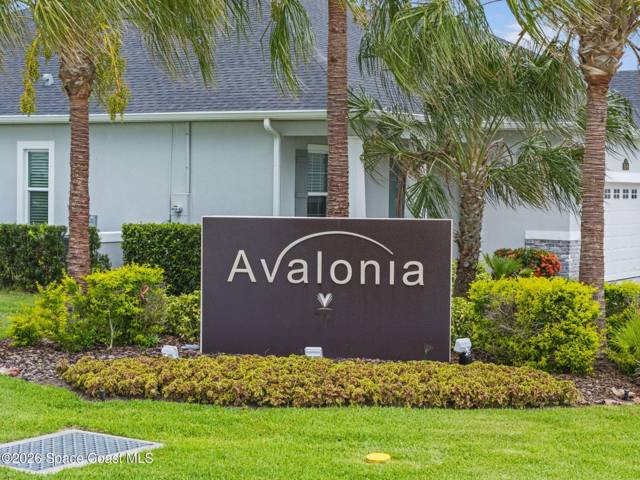Avalonia