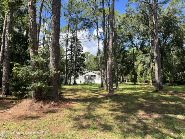 4125 Luciano Avenue, home for sale in Cocoa