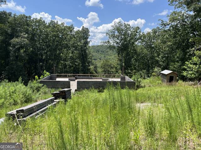 98 Adair Drive, home for sale in Ranger