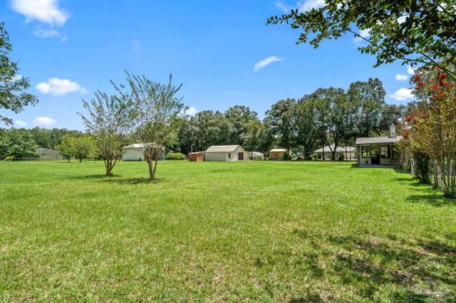 Saddle Club Estates