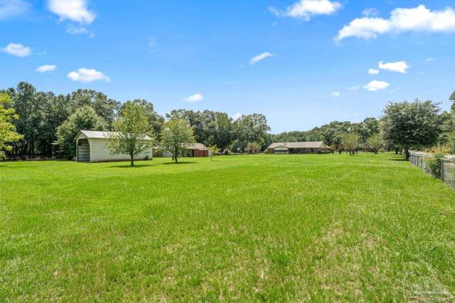 Saddle Club Estates