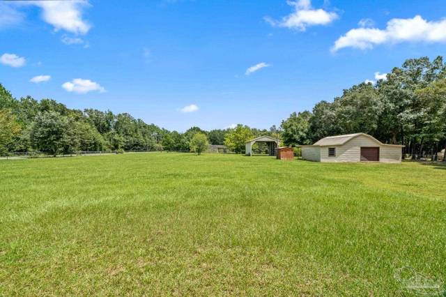 Saddle Club Estates