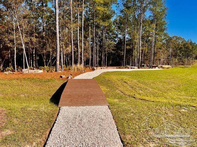 Naturewalk At Pond Creek