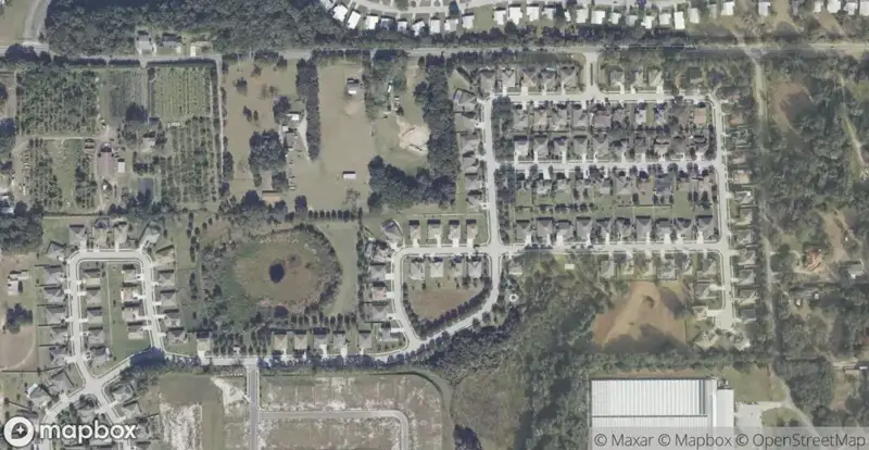 Chandler EstatesHomes for Sale in Apopka, FL