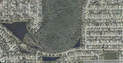 Deerfield CommonHomes for Sale in Orlando, FL