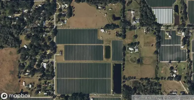 Diamond HillHomes for Sale in Apopka, FL