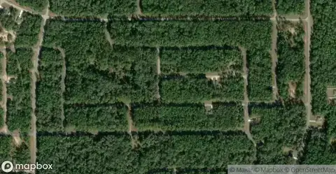 Florida Highlands Homes for Sale in Dunnellon, FL