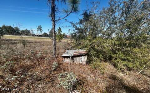 00 NW County Rd 274, Altha FL - photo 13 of 18