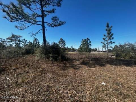00 NW County Rd 274, Altha FL - photo 14 of 18