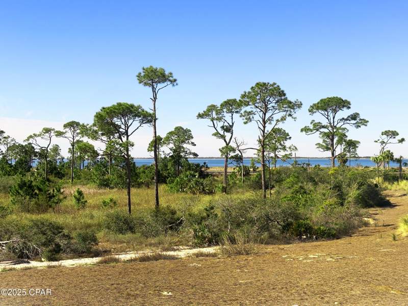 5 bedroom SingleFamilyResidence at 204 Pond Cypress Cove, Windmark, Port St Joe — photo 3