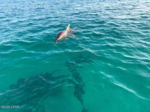 15100 Front Beach Road 729, Panama City Beach FL - photo 22 of 35