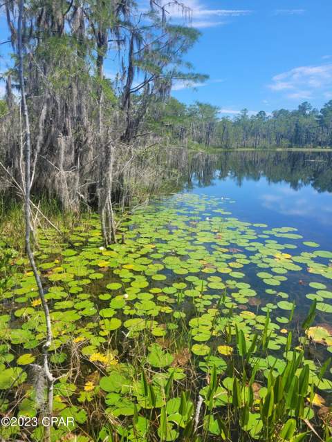 3047 Everest Drive, Chipley FL - photo 6 of 22