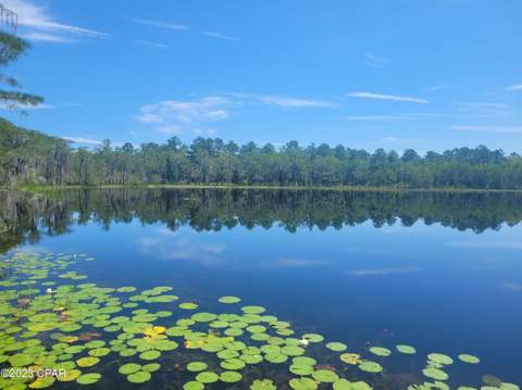 3047 Everest Drive, Chipley FL - photo 7 of 22